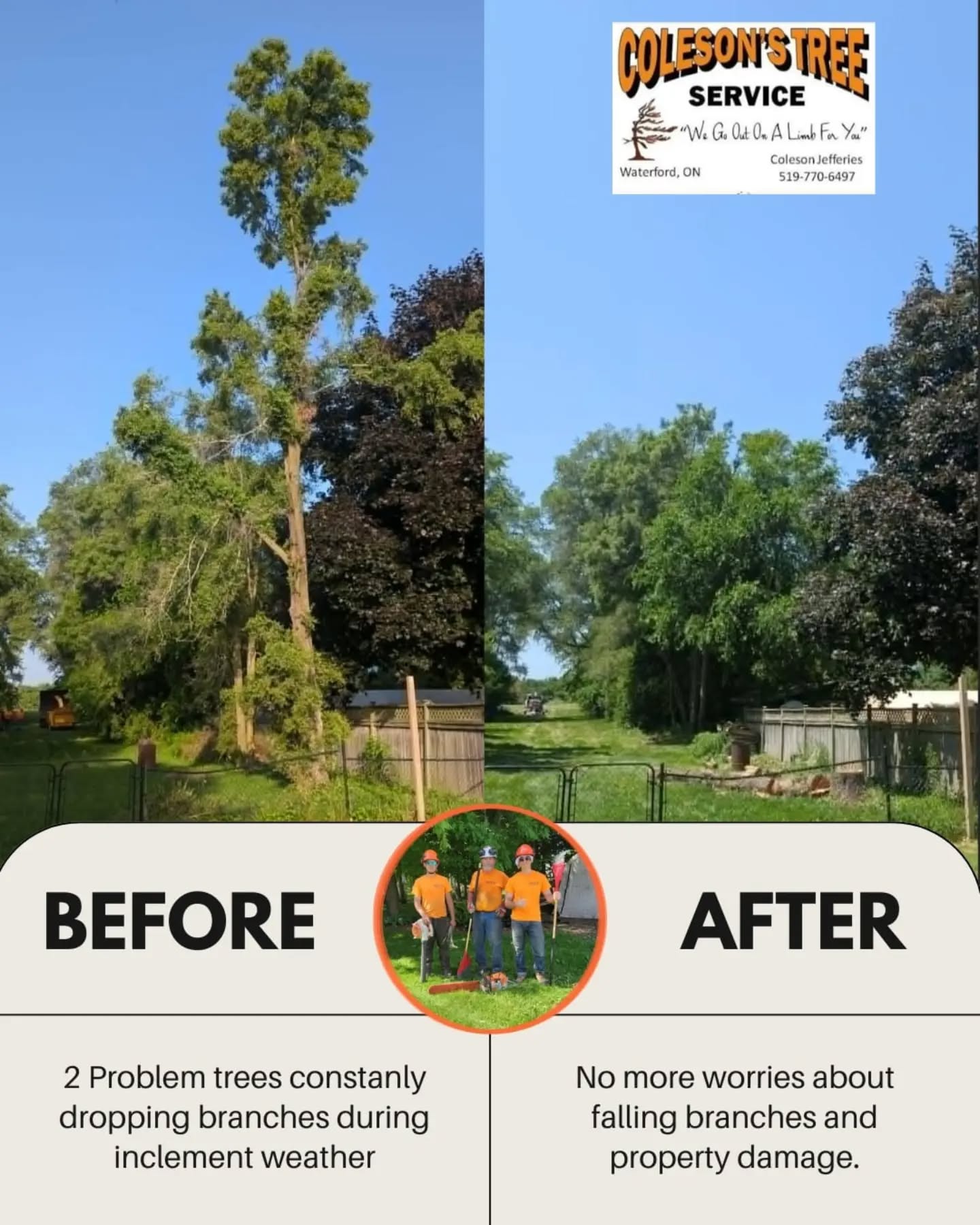 Before and after removal of two large problem trees that were dropping branches during storms