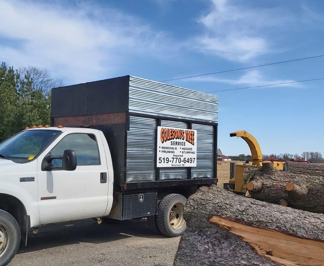 Coleson's Tree Service chip truck and chipper on site next to a pile of freshly cut logs