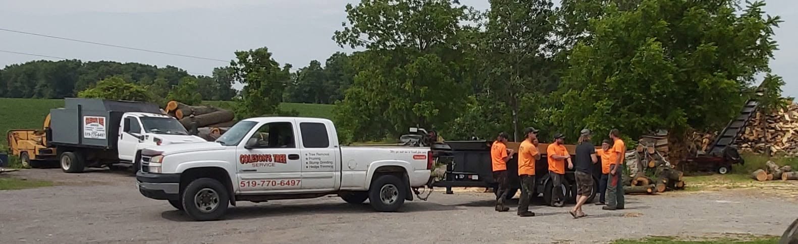 Coleson's Tree Service crew and trucks loading logs on a job site